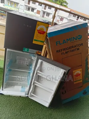 Flamino 80litres Refrigerator Freezer Cool Your Food Anywhere