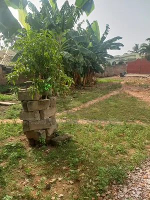 35/100 Half Plot of Land for Sale in Sowutom. Dl