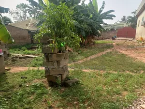 35/100 Half Plot of Land for Sale in Sowutom. Dl