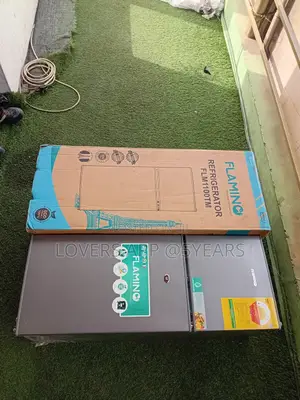 Everfresh Plantinum Series Refrigerator,80l Refrigerator From Flamino