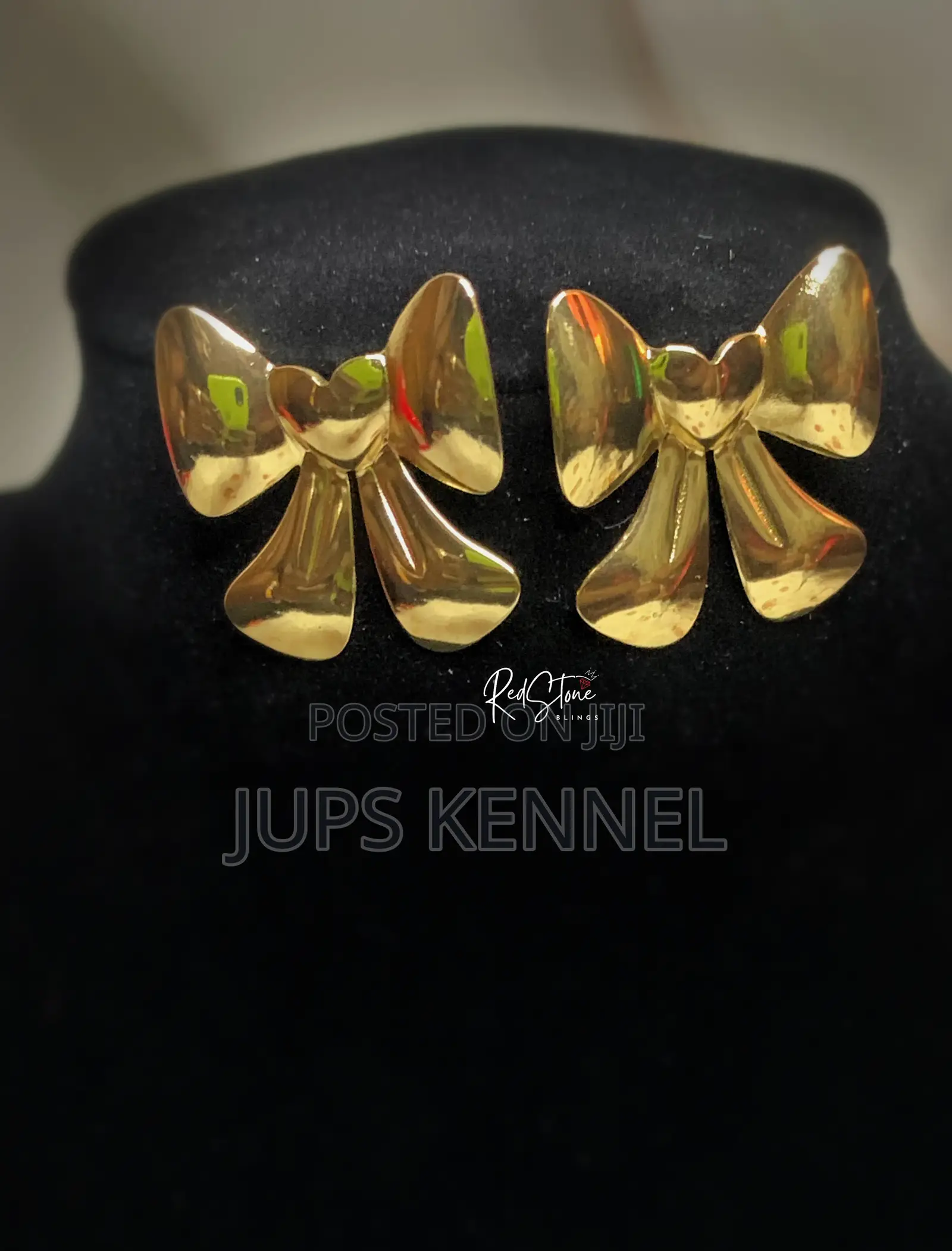 Earrings (Gold)