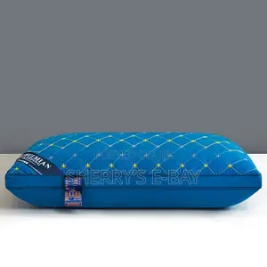 2pcs Modern Pillows