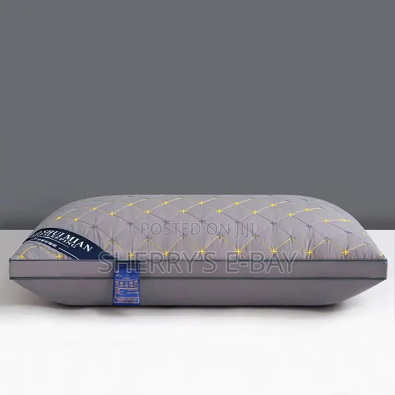 2pcs Modern Pillows