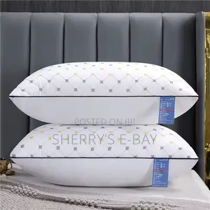 2pcs Modern Pillows