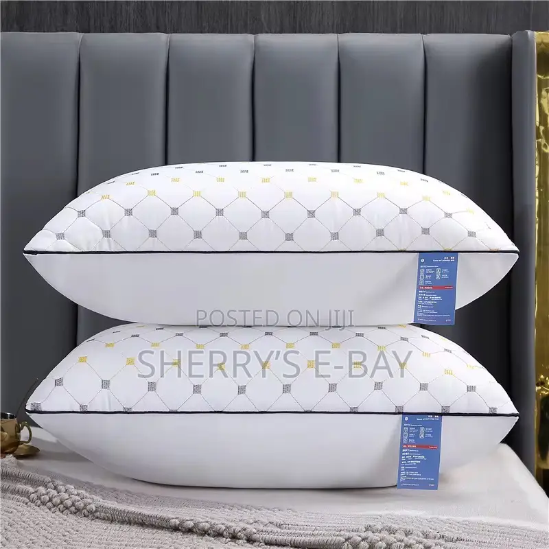 2pcs Modern Pillows