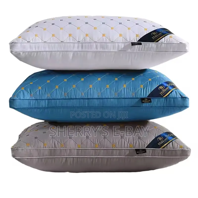 2pcs Modern Pillows