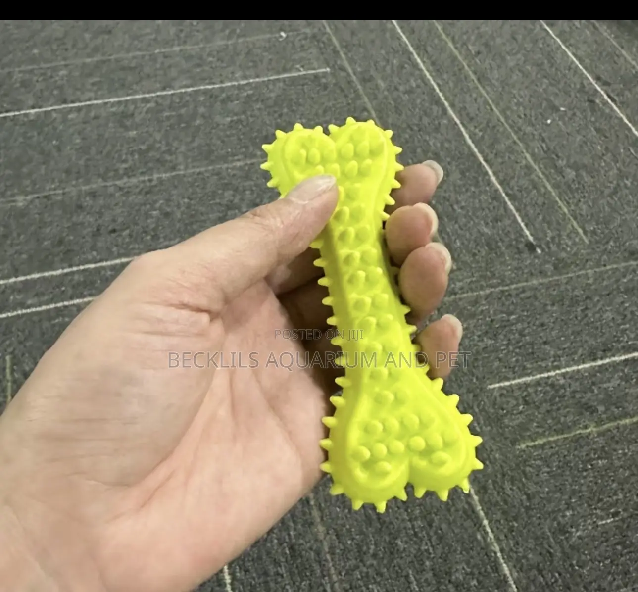 Silicon Soft Bone for Dogs and Cat