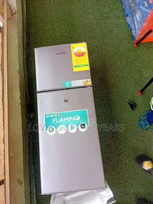 80l Icebox Refrigerator, Flamino 80l Refrigerator
