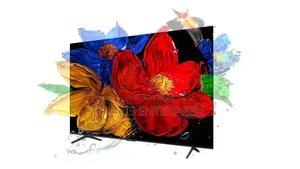 TCL 75” Qled Pro Smart Android Tv