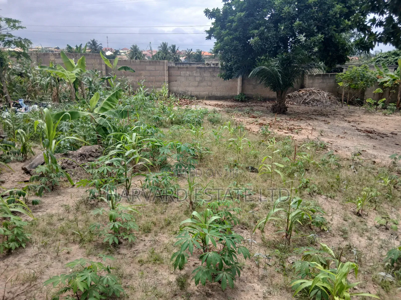 Prime Land at Tech Boadi Near Knust Campus
