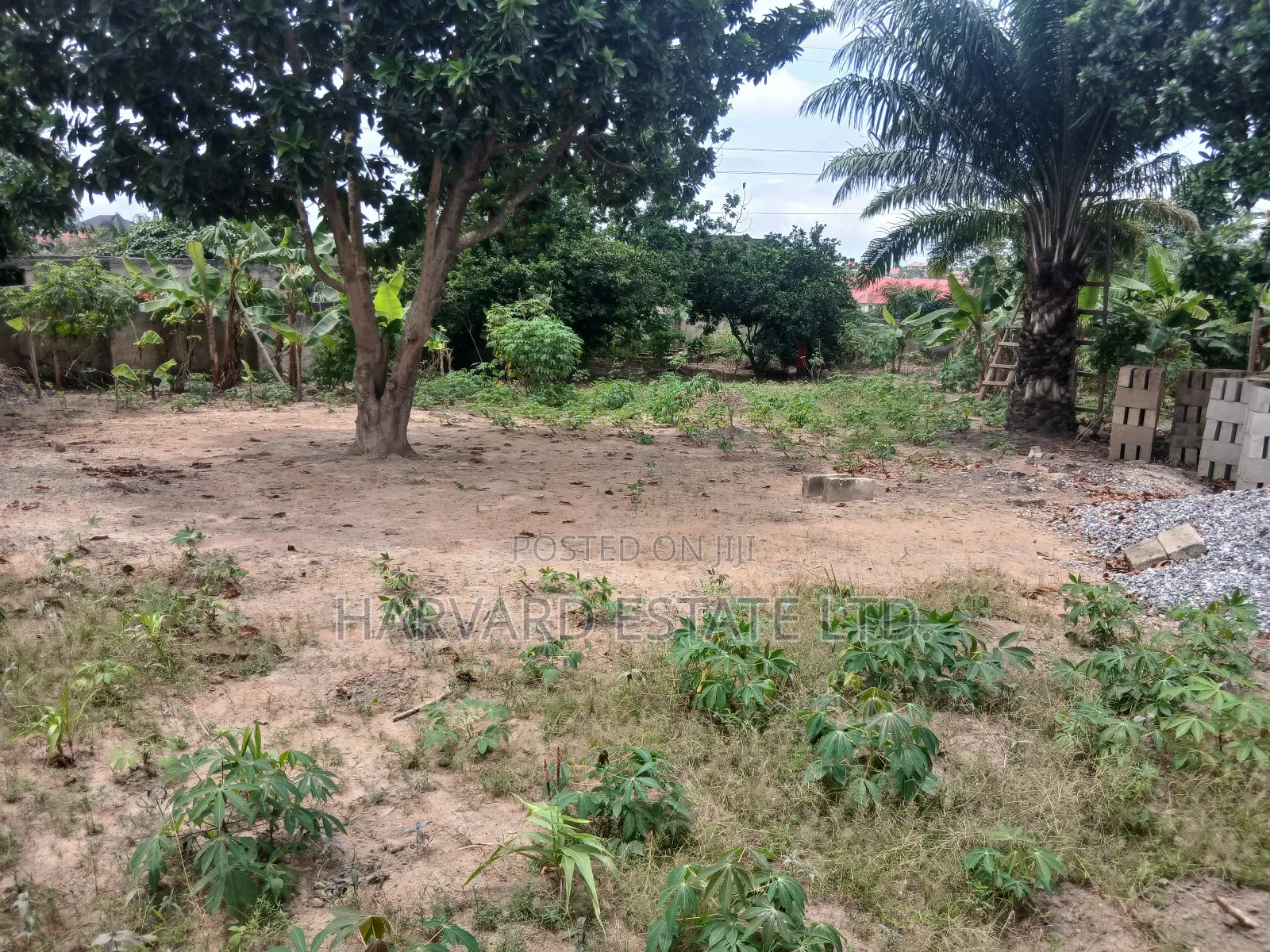 Prime Land at Tech Boadi Near Knust Campus