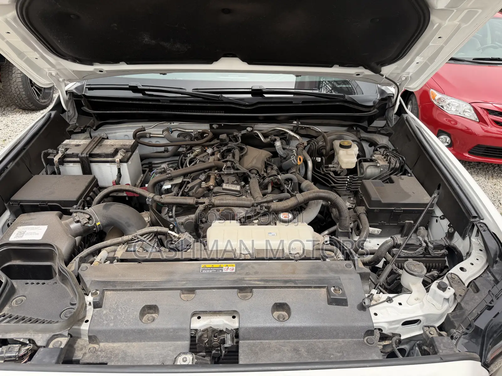 Toyota Tacoma 2024 White