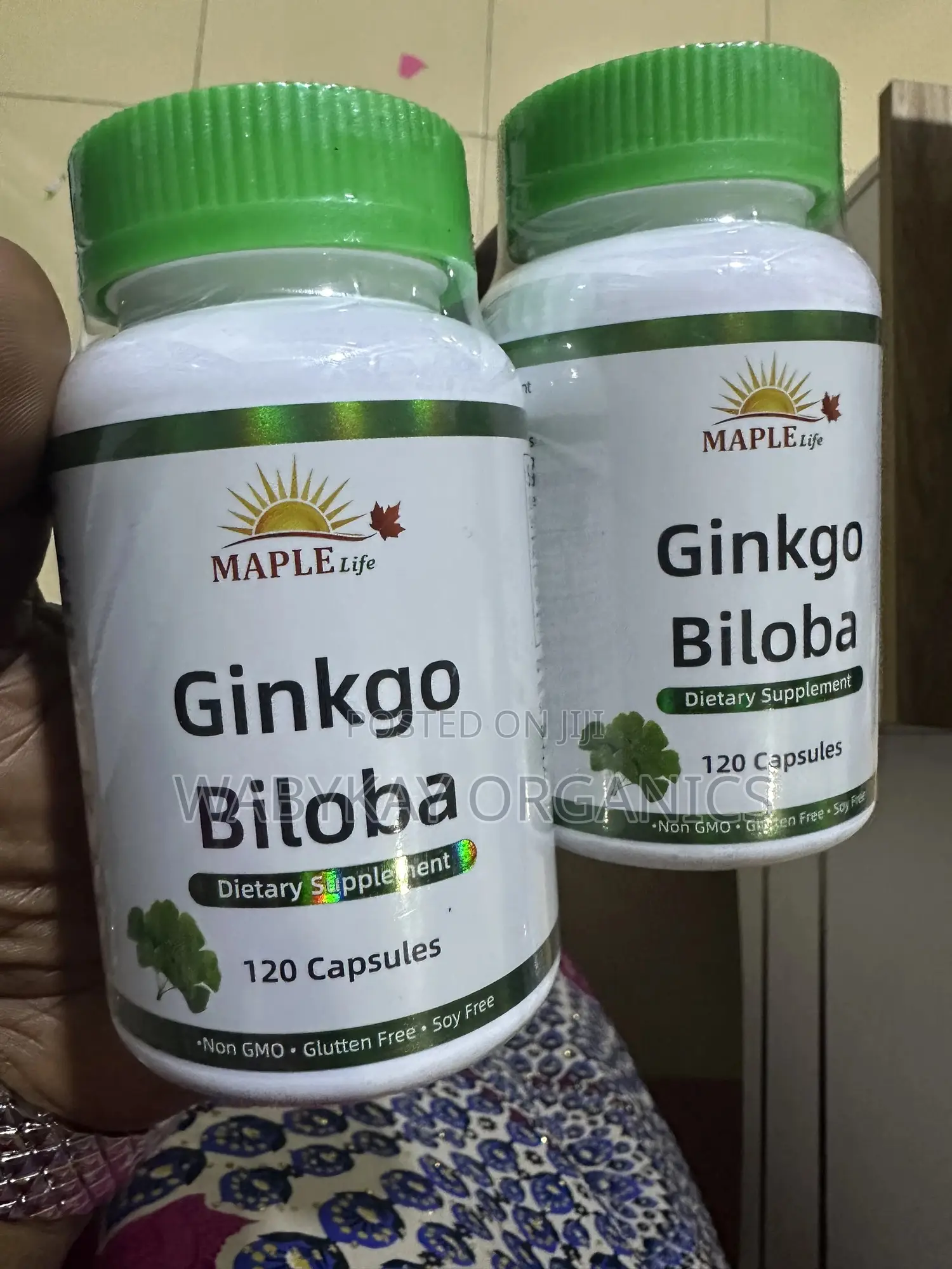 Ginkgo Biloba