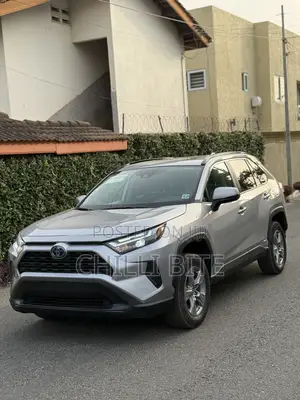 Toyota RAV4 XLE 2022 Silver