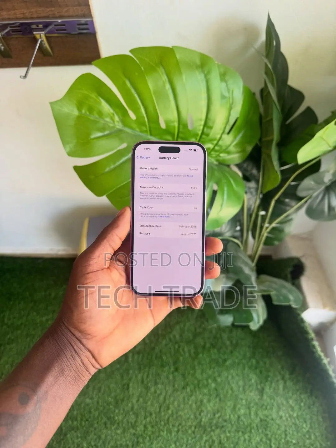 Apple iPhone 16 128 GB Pink