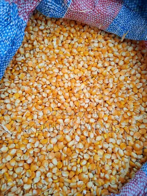 Yellow Maize Available For Pickup