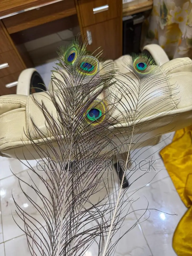 Peacock Feathers