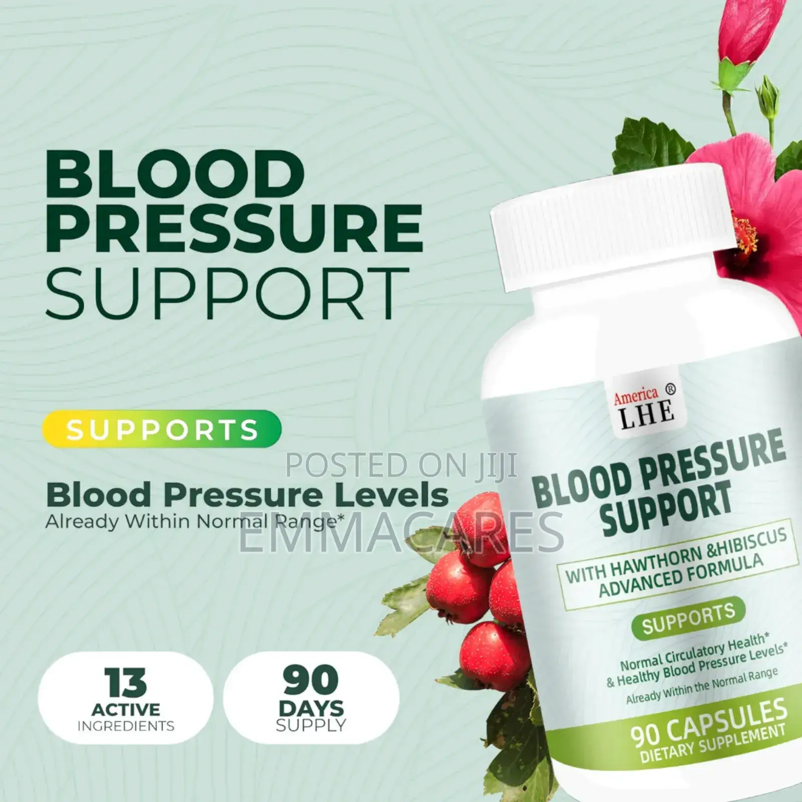 Blood Pressure Support