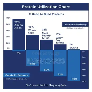 Amino Acids
