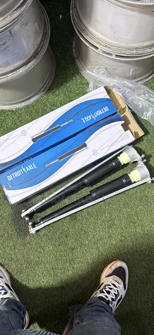 204 Back Shocks
