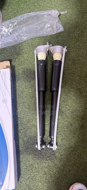 204 Back Shocks