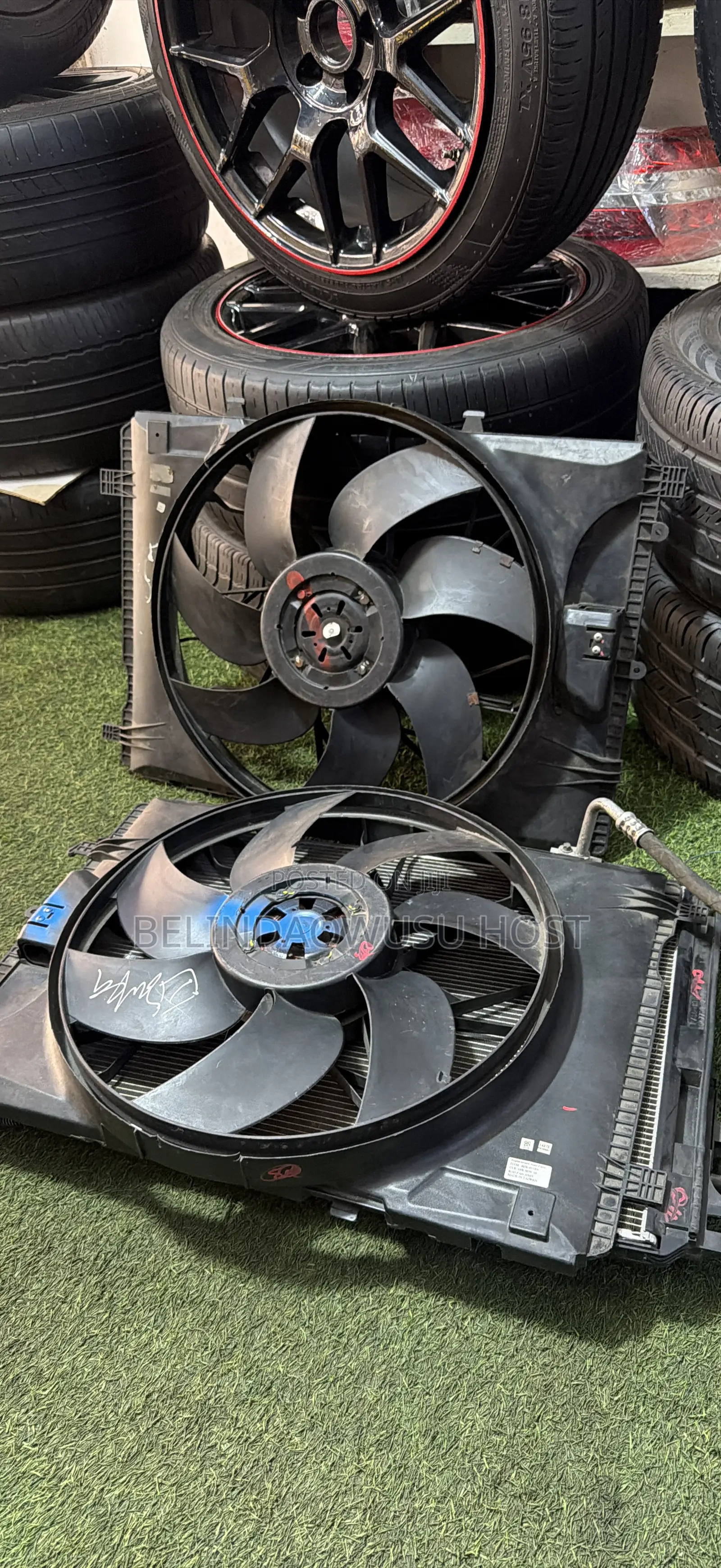 C 250 Radiator Fan