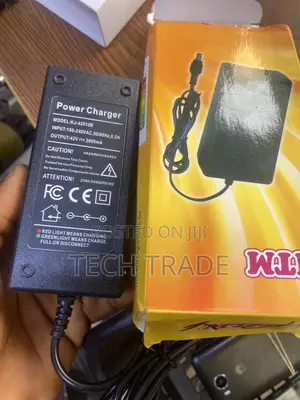 Hover Board Chargers (Original) 42v 24v