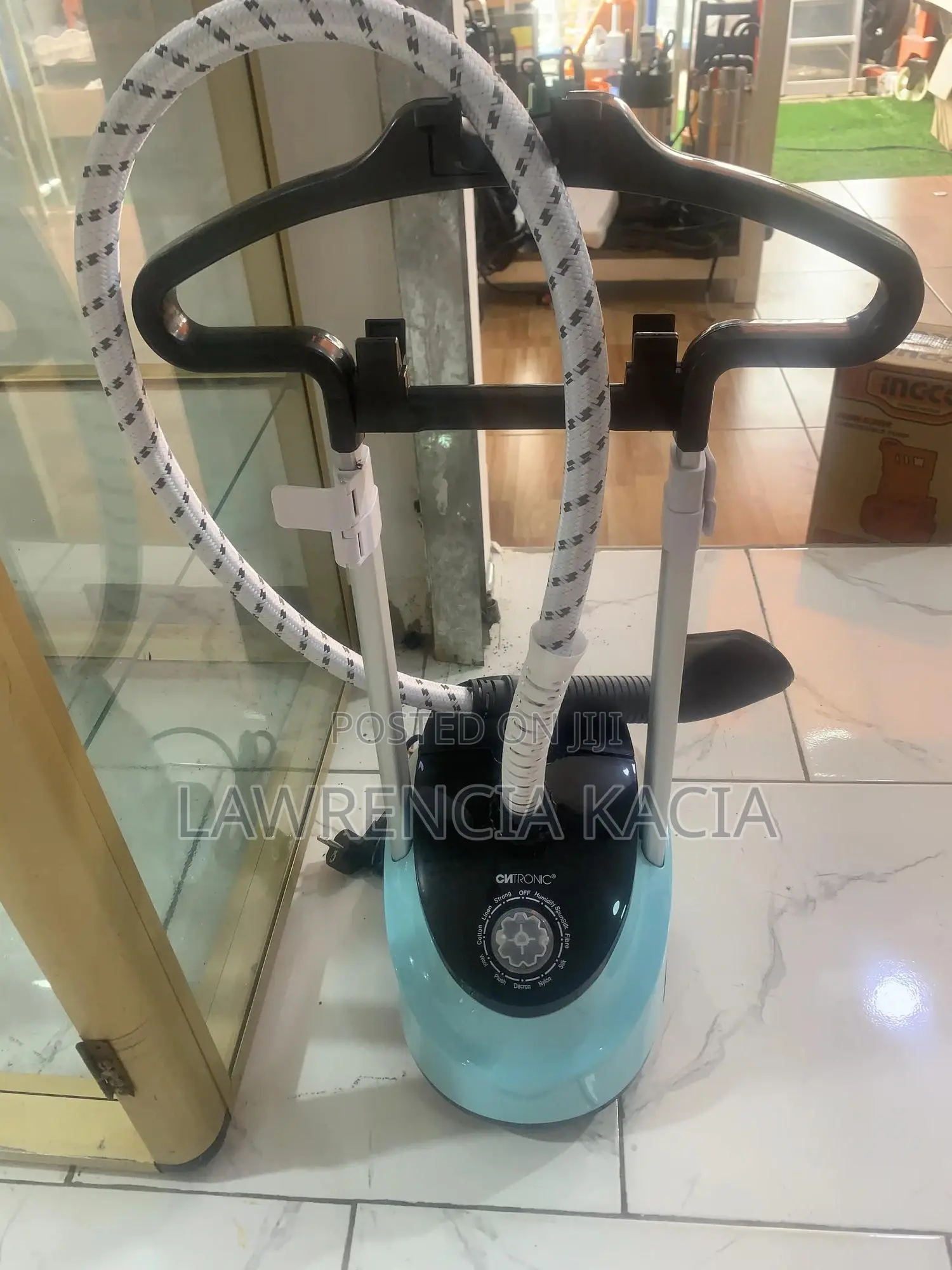 Steam Iron