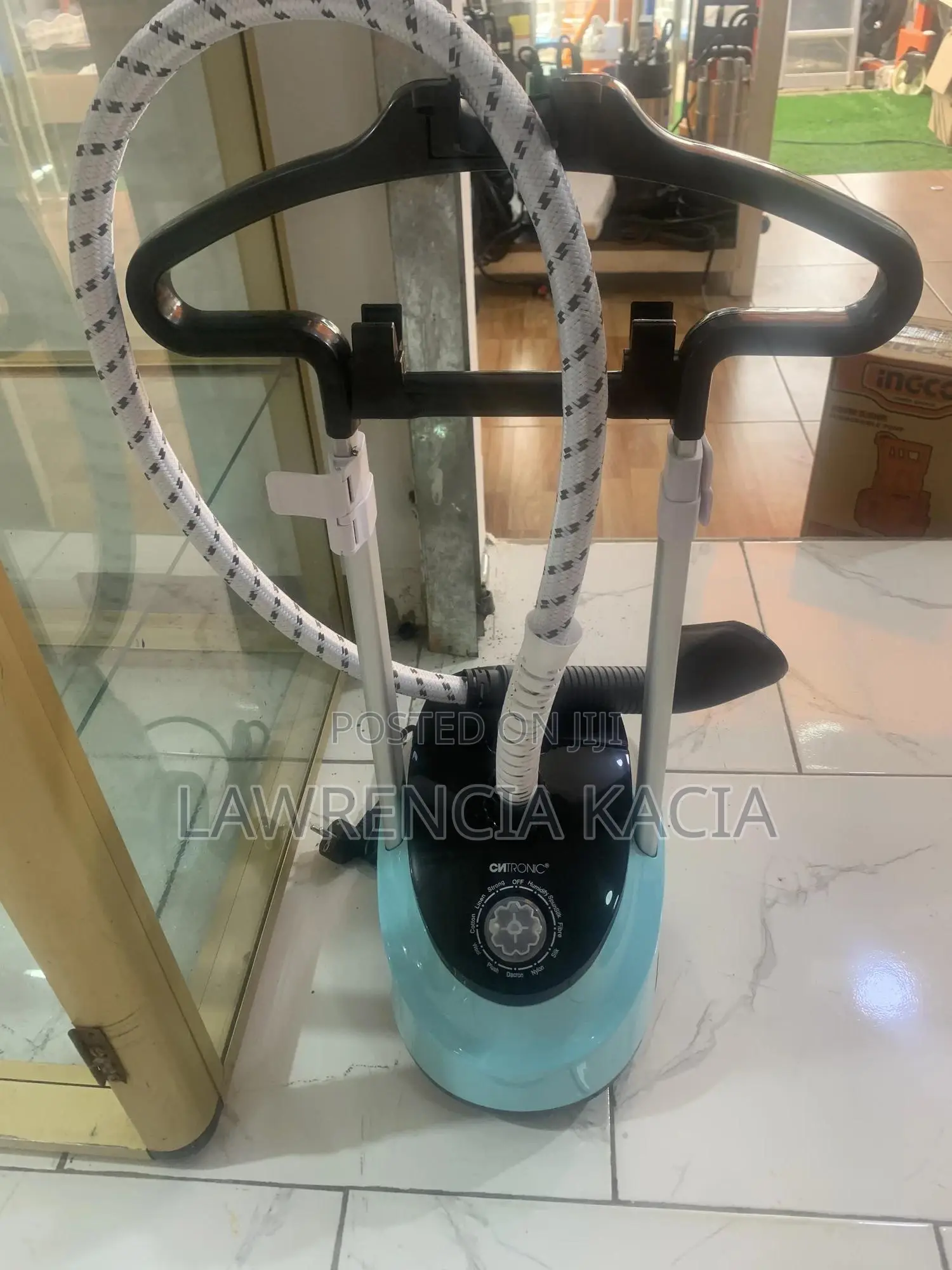Steam Iron