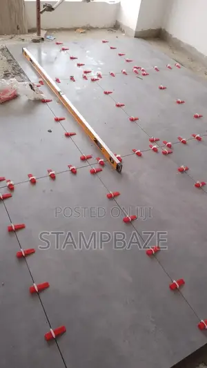 Professional Tiler Tiles Tiling