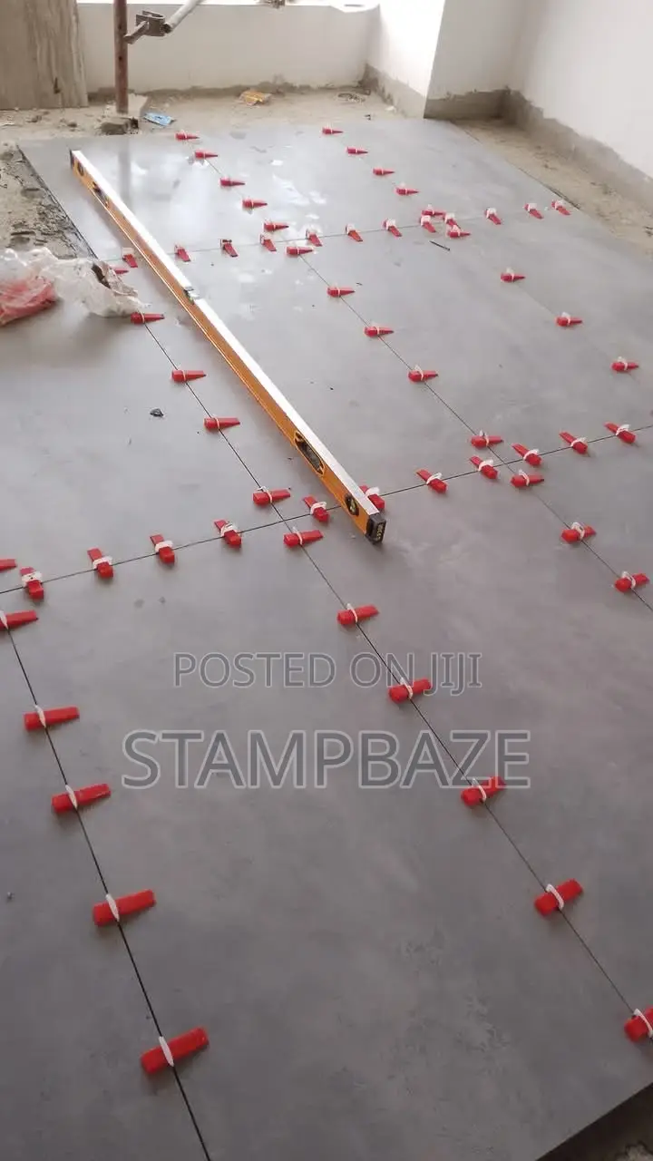 Professional Tiler Tiles Tiling