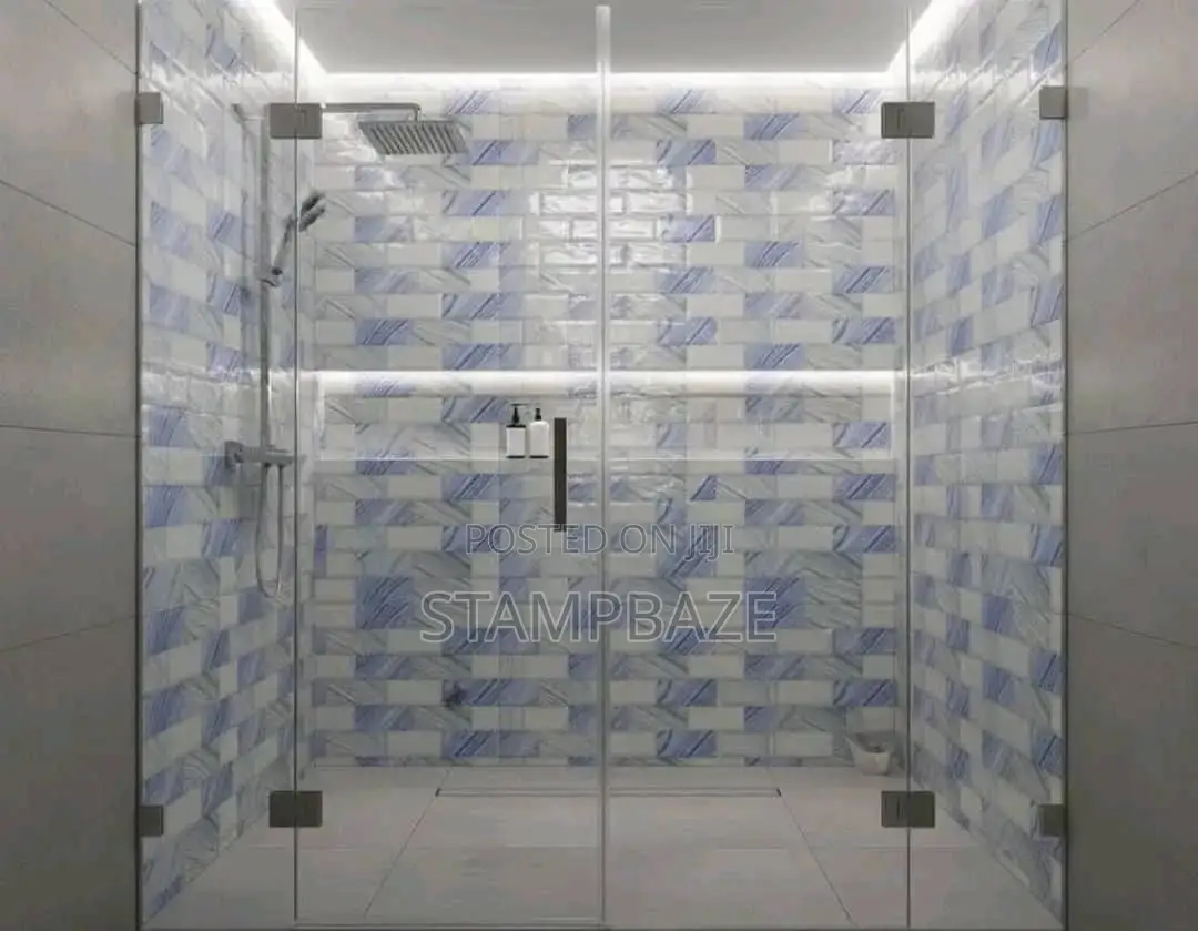 Professional Tiler Tiles Tiling