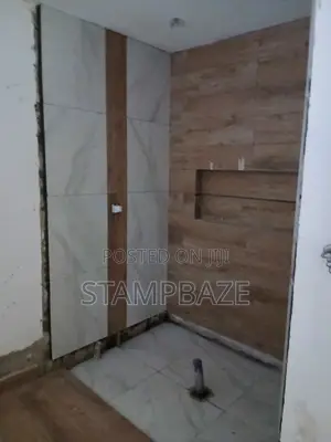 Professional Tiler Tiles Tiling