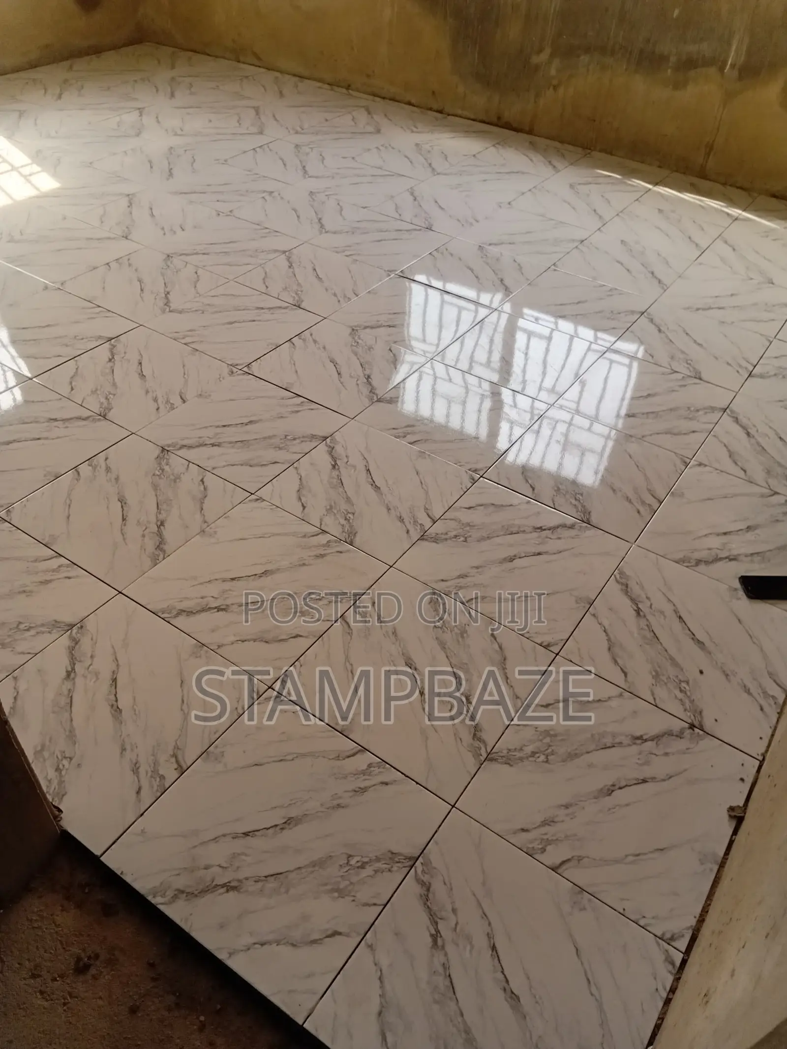 Professional Tiler Tiles Tiling