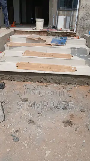 Professional Tiler Tiles Tiling