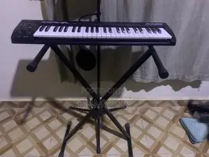 M-audio Mini Keyboard With Stand