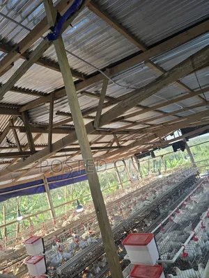 H-Type Battery Cage With Waste Tray