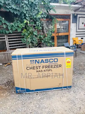 Energy Efficient Nasco 400l Single Door Electric Chest Freezer(Gray)