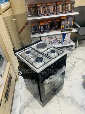 Highly Recommended Ailyon Gas Electric Cooker Oven Rotisserie 3-1