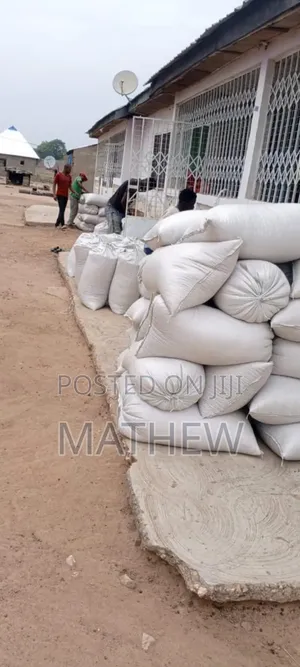 Maize Available in Accra