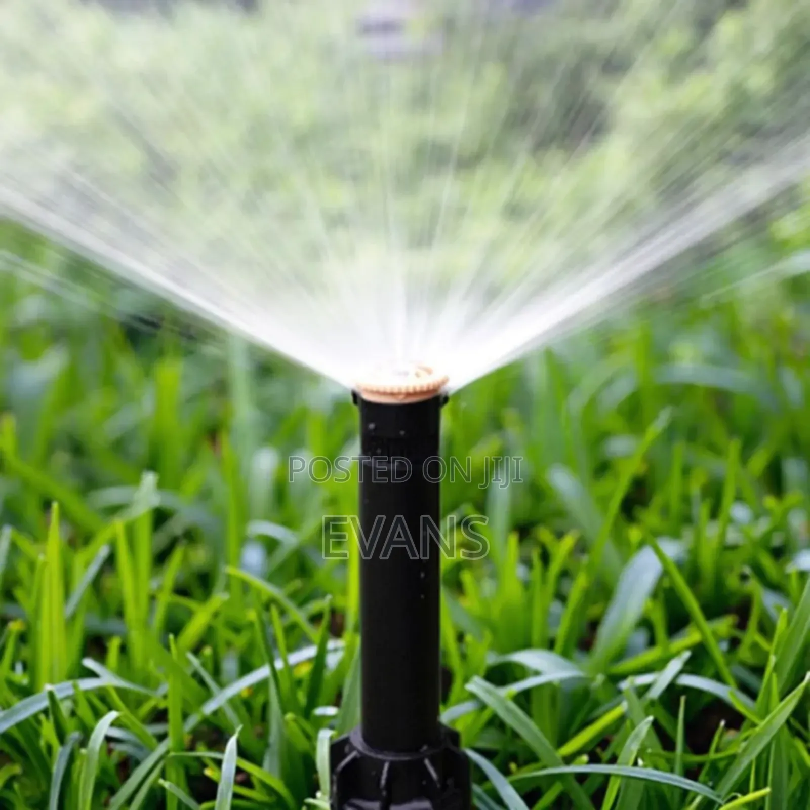 Pop Up Sprinklers