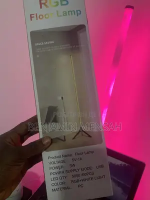 Floor Lamp or Corner Light