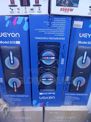 Ueyon Karaoke Microphone Wireless Party Speaker
