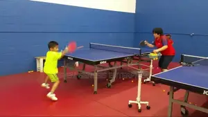 Table Tennis and Football Coaching and Scouting Services
