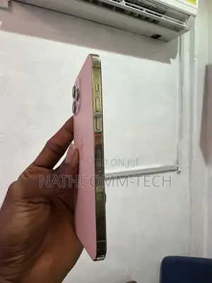 Apple iPhone 12 Pro Max 256 GB Gold