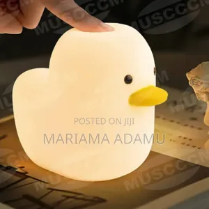 Dull Duck Sleeping Lamp