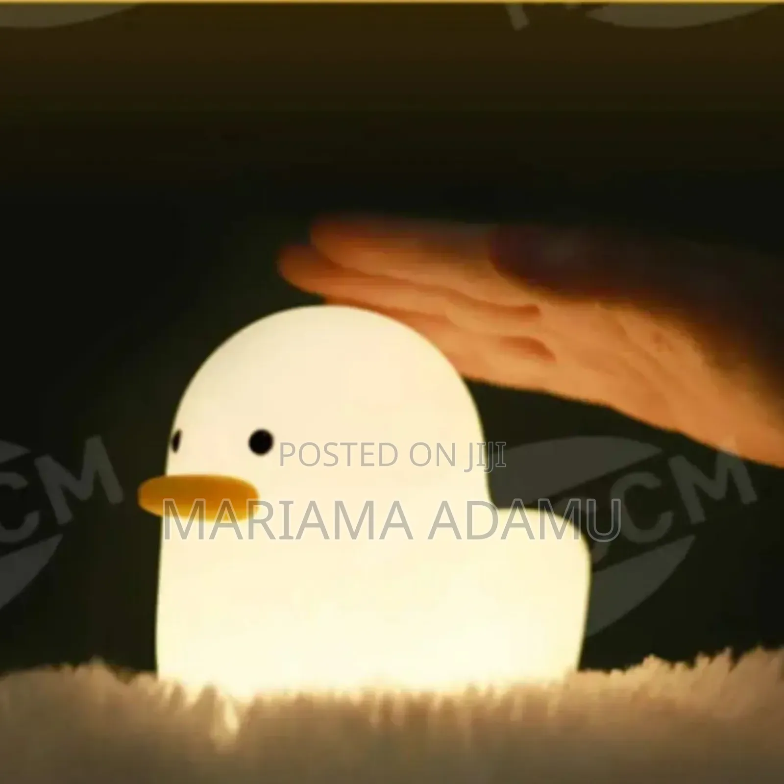 Dull Duck Sleeping Lamp