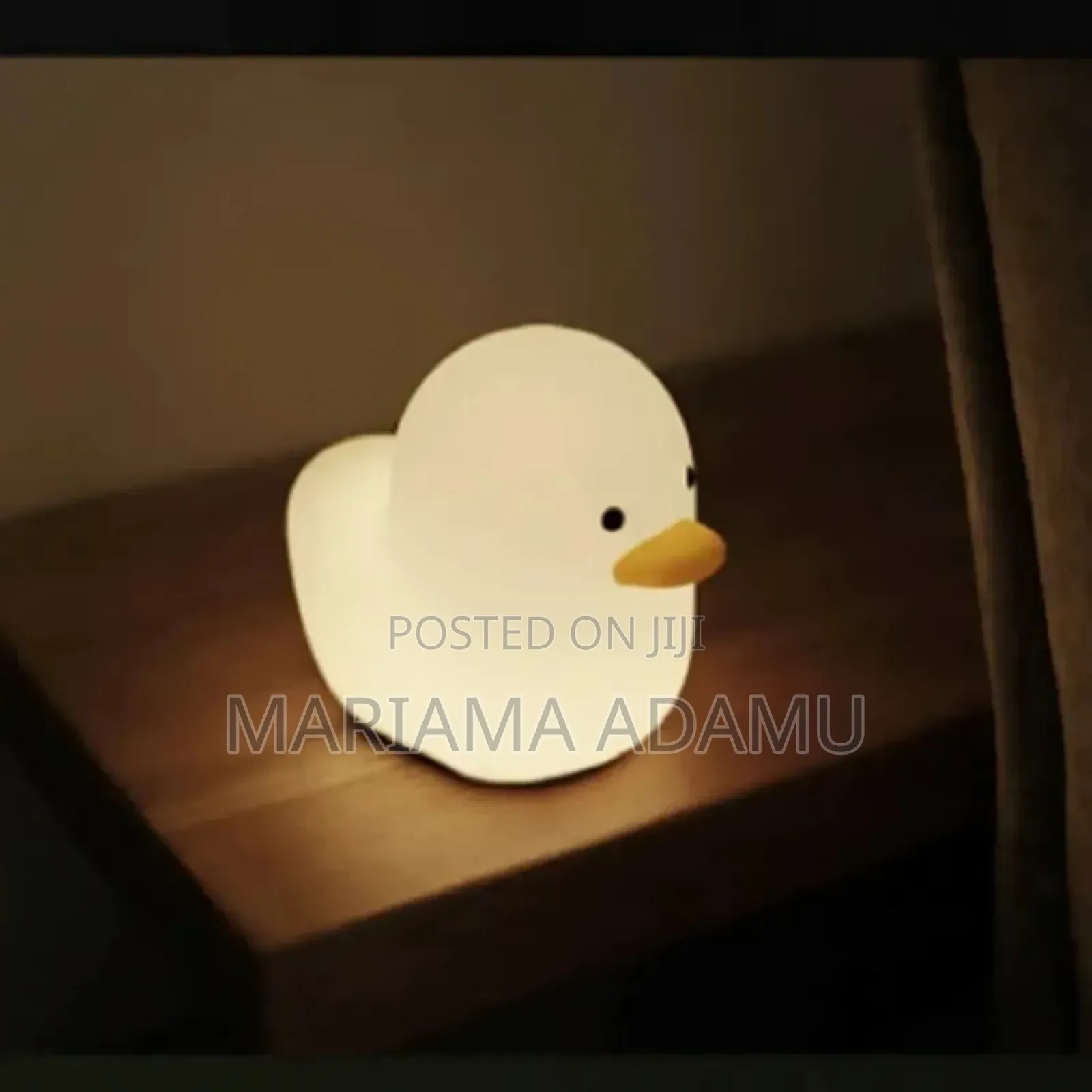 Dull Duck Sleeping Lamp