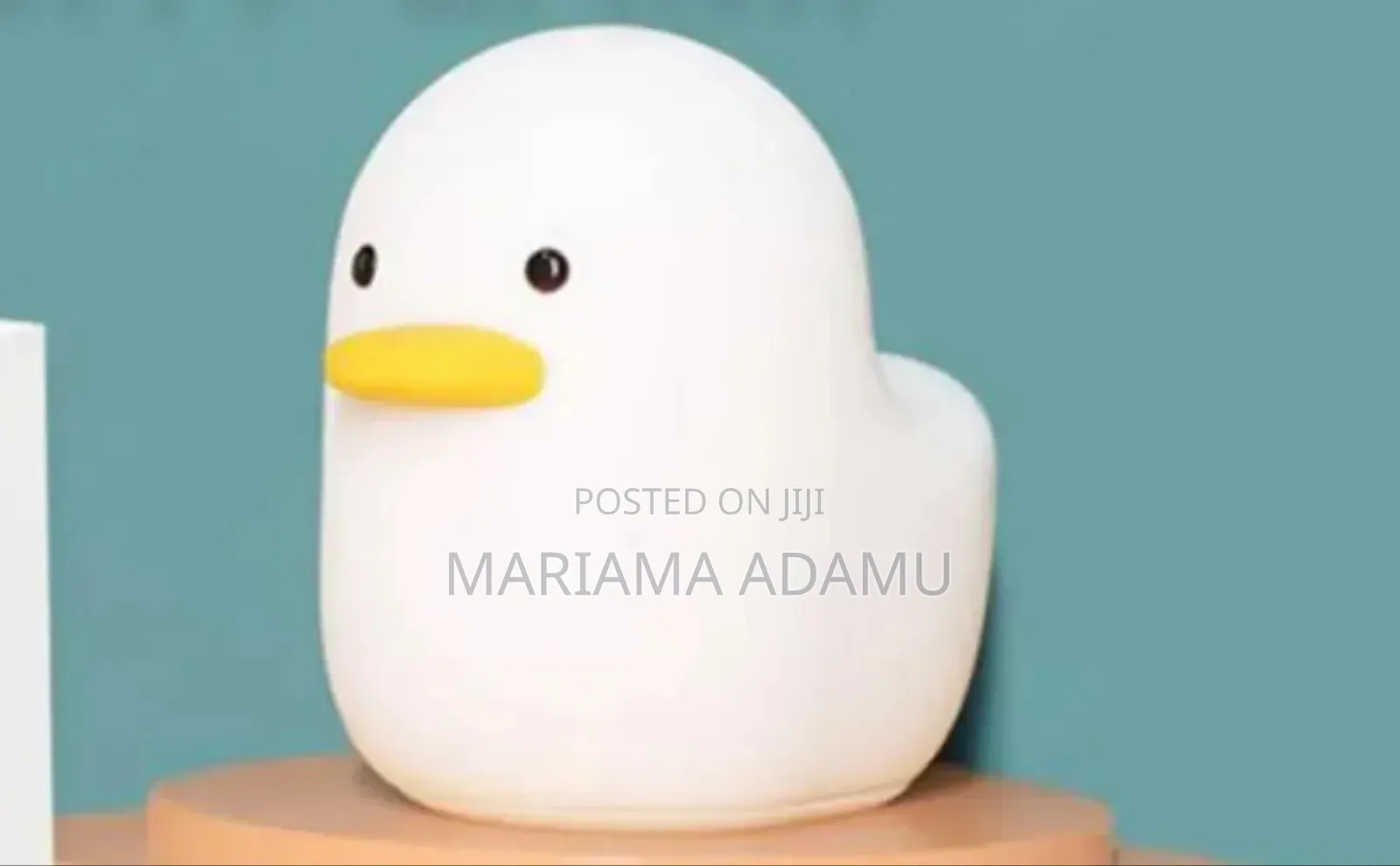 Dull Duck Sleeping Lamp