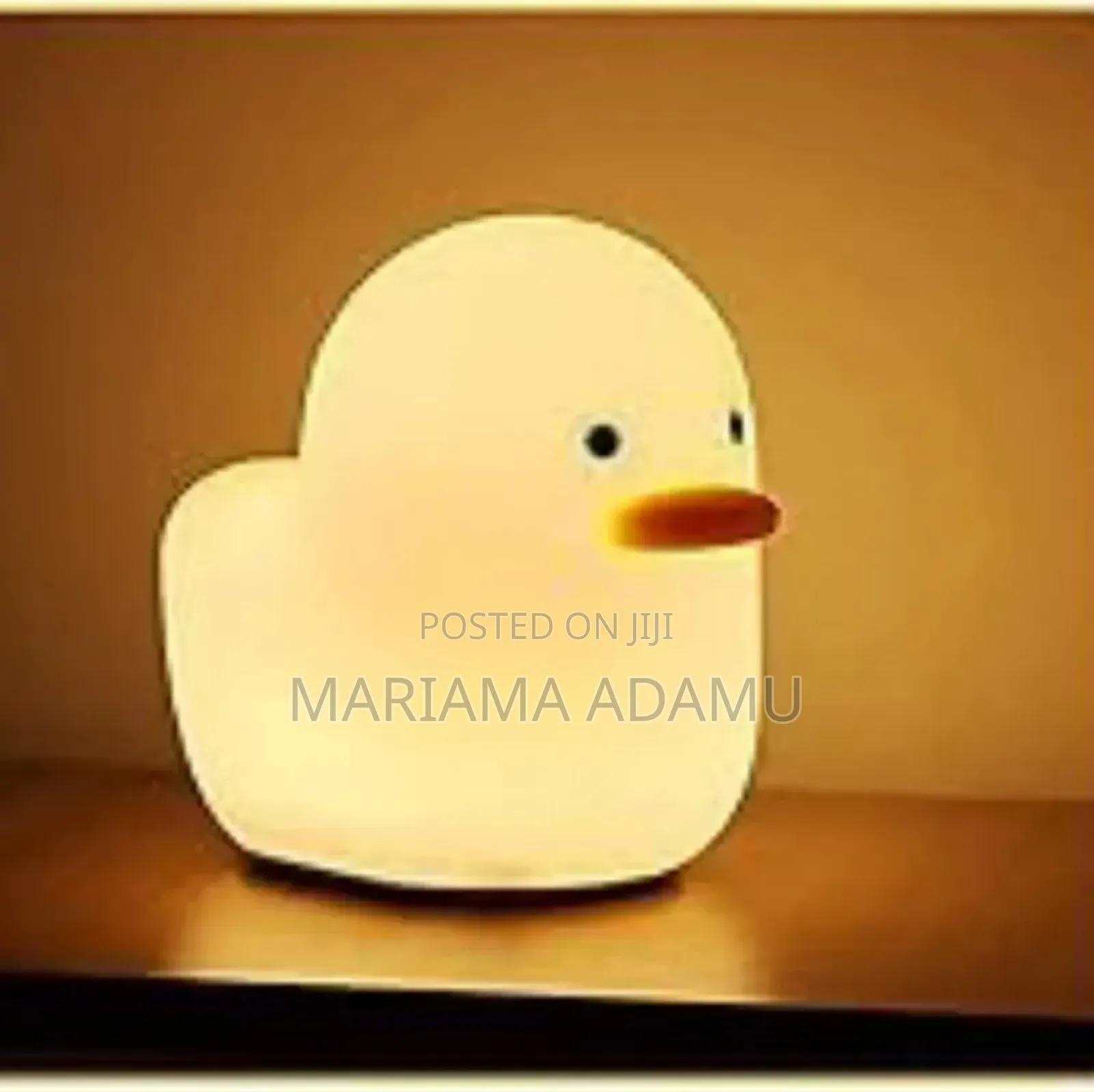 Dull Duck Sleeping Lamp